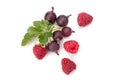 Black currant with raspberry and leaves Royalty Free Stock Photo