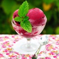 Black currant red wine sorbet Royalty Free Stock Photo