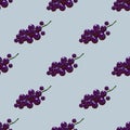 Black currant seamless pattern