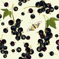 Black currant seamless pattern.