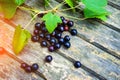 black currant on a wooden background Royalty Free Stock Photo