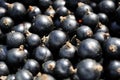 Black Currants Royalty Free Stock Photo