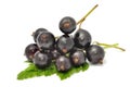 Black Currants Royalty Free Stock Photo