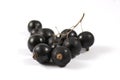 Black currants