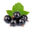 Black currants