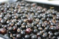 Black currants Royalty Free Stock Photo