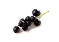 Black currants Royalty Free Stock Photo