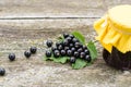 Black currants on the green blackcurrant bush leaf Royalty Free Stock Photo