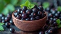 Black currants leaves on old wooden background. Black currant harvest, berries outdoors in garden. Royalty Free Stock Photo