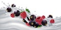Black currants and raspberries on a yogurt or milk wave.
