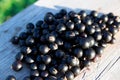 Black currents on wooden bench