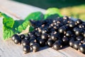 Black currents on wooden bench