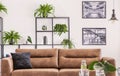 Black cushion on brown leather sofa in white living room interior with plants and posters. Real photo Royalty Free Stock Photo