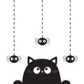 Black cute cat kitten face head looking on hanging spider. Dash line. Paw print. Cartoon kitty funny character. Kawaii animal. Hal