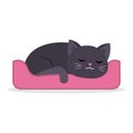 Black cute cat sleeping curled up in a ball in cartoon style Royalty Free Stock Photo