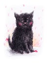 Black cute fluffy kitten. Drawing in colored pencils. Handwork illustration for design Royalty Free Stock Photo