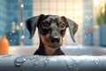 A black dachshund bathes in the bathtub. Washing dogs at home. Generative AI