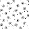 Black dandelions seed floral fluff pattern on a white background Royalty Free Stock Photo