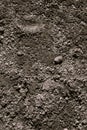 Black Dark Soil Dirt Backdprop Texture, Natural Pattern. Flat Top View. Agricultural Earth Background. Black Dark Soil Royalty Free Stock Photo