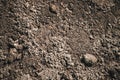 Black Dark Soil Dirt Background Texture, Natural Pattern. Flat Top View. Royalty Free Stock Photo