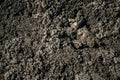 Black Dark Soil Dirt Background Texture, Natural Pattern. Flat Top View. Royalty Free Stock Photo