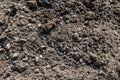 Black Dark Soil Dirt Background Texture, Natural Pattern. Flat Top View. Clods of Earth