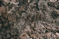 Black Dark Soil Dirt Background Texture, Natural Pattern. Flat Top View. Clods of Earth Royalty Free Stock Photo