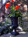 Black decorative retro vase with red flowers on house doorsteps Royalty Free Stock Photo