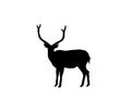 Black deer silhouette vector on white backdrop