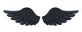 Black Demon Wings Isolated