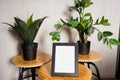 Black design room with mock up photo frame,tropical leaf and office accessories. Modern and stylish black interior.