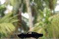 A black die cast toy car Royalty Free Stock Photo