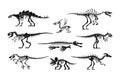 Black dinosaur bones. Dino skeleton and skull silhouettes. Prehistoric animal fossil. Jurassic tyrannosaurus and