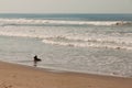 Black dog on the beach at the sea in evening light Royalty Free Stock Photo