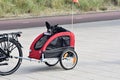 A black dog in a bike trailer.