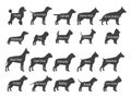 Black dog breeds vector silhouettes isolated on white background Royalty Free Stock Photo