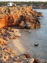 Black Dog on an empty beach Royalty Free Stock Photo