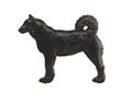Black dog figure on white background, Laika Royalty Free Stock Photo