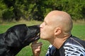 Black dog give kiss man Royalty Free Stock Photo