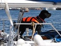 Black dog with life jacket on sail boat Royalty Free Stock Photo