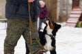 Black dog obediently performs winter training