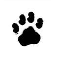 Akita Paw Prints: High-quality Drawing In The Style Of Chris Bachalo