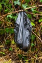 Black dog poo poop bag left in bush. Royalty Free Stock Photo