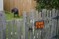 Black dog pooping on the lawn with the signage of  Beware of the Dog in the wooden fence Royalty Free Stock Photo