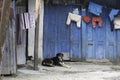 A black dog is resting in front of old wooden house Royalty Free Stock Photo