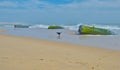 Black dog, Beach, France Royalty Free Stock Photo