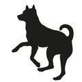 Black dog silhouette. Jumping african bush dog puppy. Basenji or congo dog. Pet animals. Isolated on a white background.