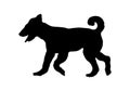 Black dog silhouette. Running airdale terrier puppy. Bingley terrier or waterside terrier. Pet animals. Isolated on a white