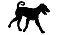 Black dog silhouette. Running airedale terrier puppy. Bingley terrier or waterside terrier. Pet animals. Isolated on a white