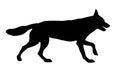 Black dog silhouette. Running czechoslovak wolfdog puppy. Pet animals. Isolated on a white background Royalty Free Stock Photo